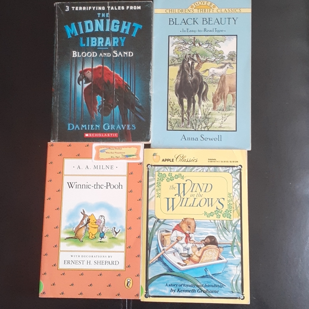 Chapter books